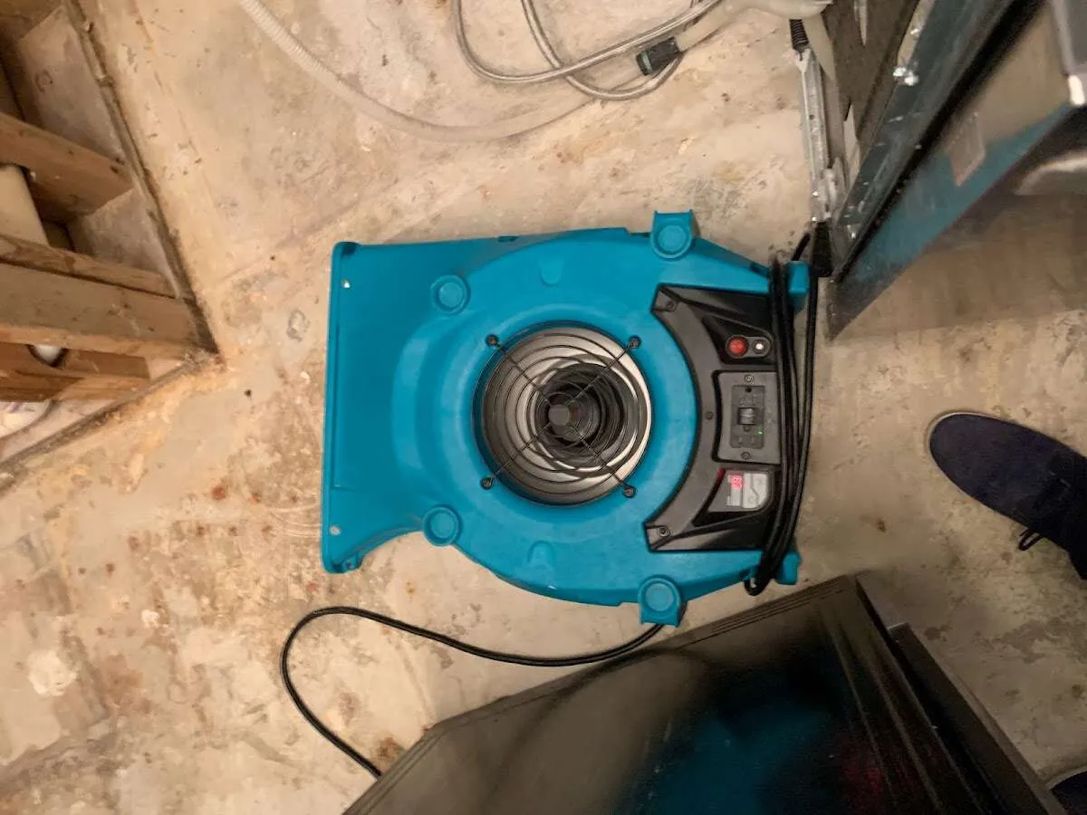 Air mover drying equipment for Mold Remediation & Removal in Clear Lake